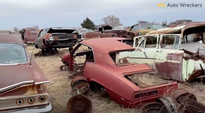 What is the Future of Auto Wrecking? Understanding Key Trends & Insights